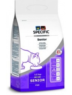 SPECIFIC FGD Senior