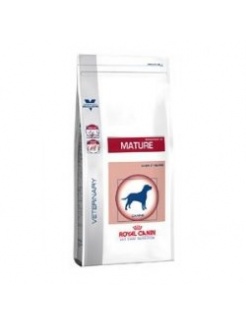 Veterinary Care Dog Senior Consult Mature