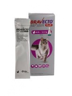 Bravecto Cat Plus L 500 mg / 25 mg spot-on roztok pre veľké mačky (>6,25-12,5 kg)