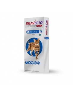 Bravecto Cat Plus M 250 mg / 12,5 mg spot-on roztok pre stredne veľké mačky (>2,8-6,25 kg) 