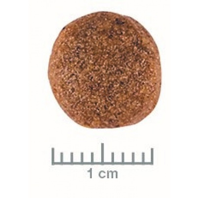 Royal Canin Vet Diet Dog Gastrointestinal