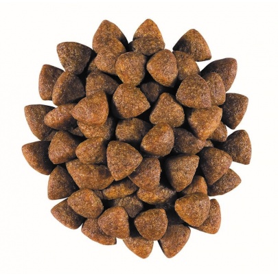 Royal Canin Vet Diet Dog Gastrointestinal puppy