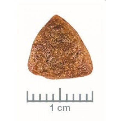 Royal Canin Vet Diet Dog Gastrointestinal puppy