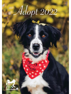 KALENDÁR ADOPT 2022