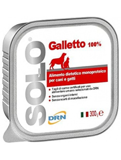 SOLO GALLETTO (KOHÚTIK) VANIČKA