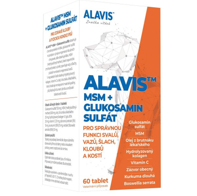ALAVIS MSM + Glukosamin sulfát 60 tbl. 
