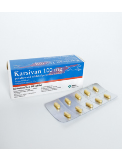 Karsivan 100 mg 6 x 10 tbl.