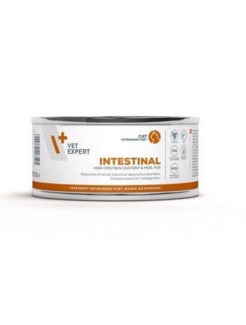 VetExpert VD cat 4T Intestinal konzerva 100 g