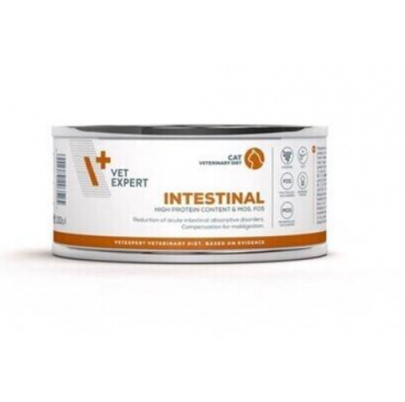 VetExpert VD cat 4T Intestinal konzerva 100 g