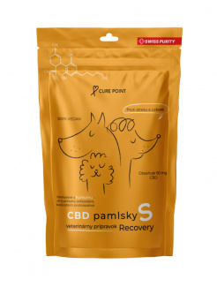 CBD Pamlsky Recovery S, 100g