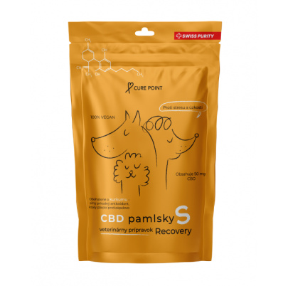 CBD Pamlsky Recovery S, 100g