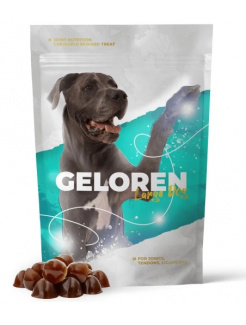 Geloren žuvacie tablety na kĺby pre psov veľkosť L-XL 60 ks