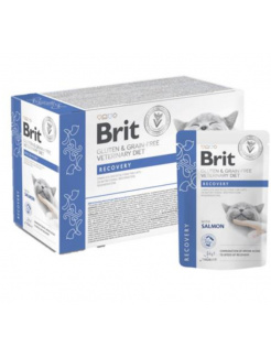 Brit VD Gluten & Grain-Free Cat Pouch Fillets in Gravy Recovery 12 x 85 g