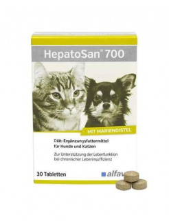 HepatoSan 700 mg 21 g (30 ks)