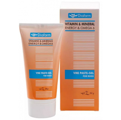 Vitamin & Mineral Energy Pasta pre psy 100 g- posledný kus